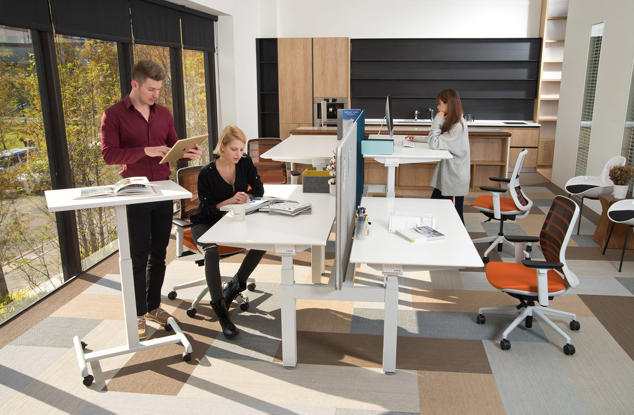birouri_office_electrice birouri office electrice