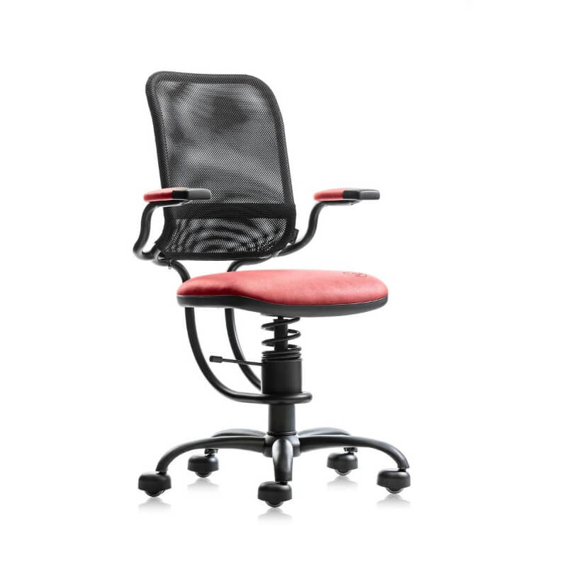 Scaun Ergonomic Mesh Scaun Ergonomic Mesh