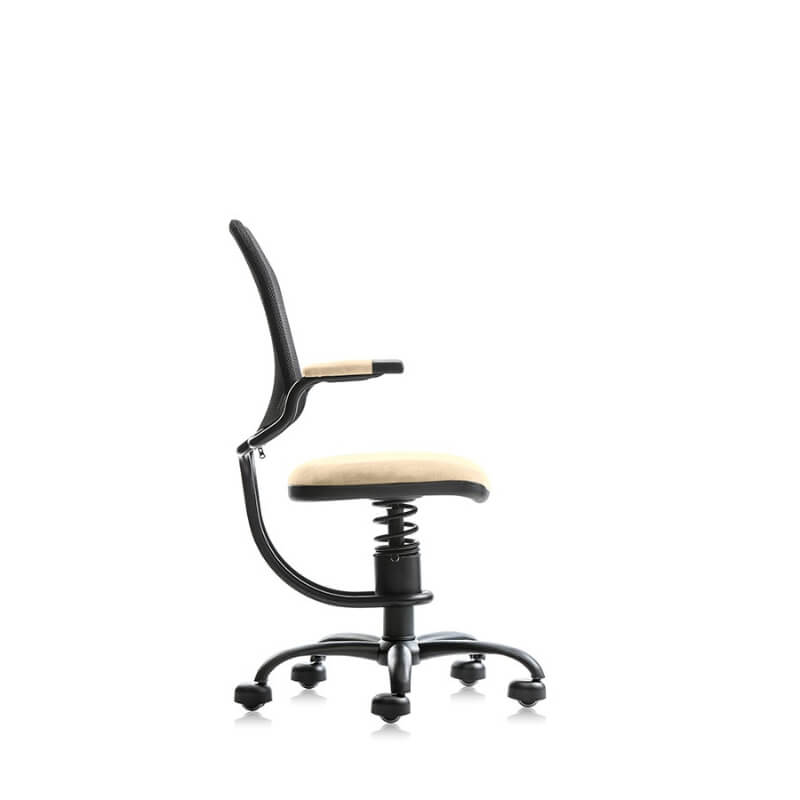 Scaun Ergonomic Scaun Ergonomic