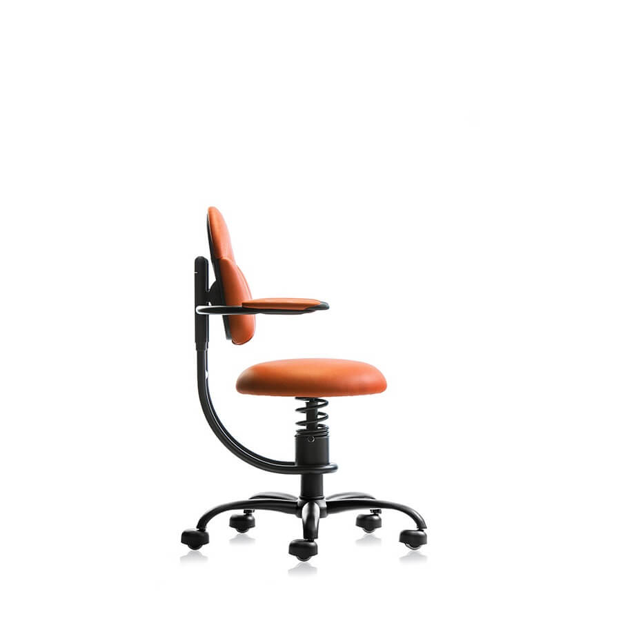 Scaun birou ergonomic Scaun birou ergonomic
